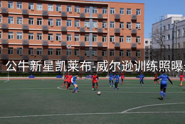 公牛新星凯莱布-威尔逊训练照曝光 放豪言要超越乔丹