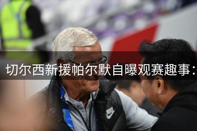 切尔西新援帕尔默自曝观赛趣事：看英格兰世界杯比赛竟中途睡着
