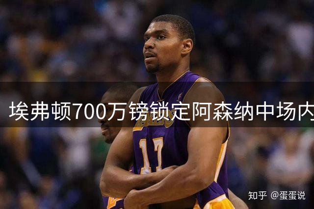 埃弗顿700万镑锁定阿森纳中场内尔高 丹麦国脚即将转会默西塞德